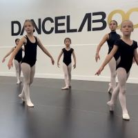 DANCE LAB OC ico