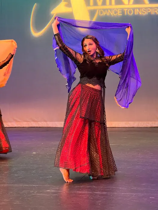 AMNA Dance Picture 6
