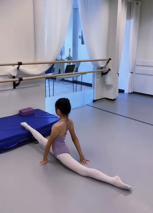 Luna Dance Academy Picture 1