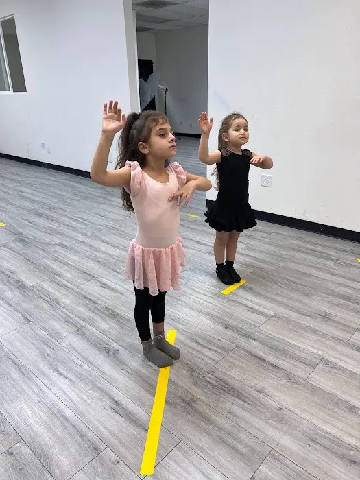 Dance Yard Picture 4