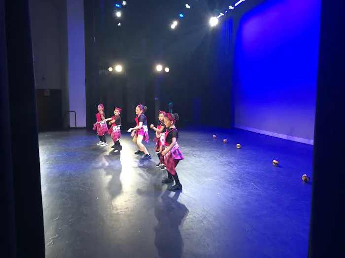 SAMPUL DANCE ACADEMY Picture 4