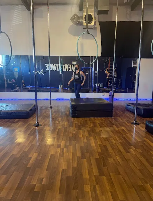 The Vertitude L.A. - Pole : Aerial : Fitness Picture 5