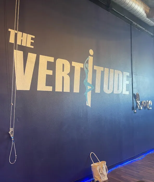 The Vertitude L.A. - Pole : Aerial : Fitness Picture 4
