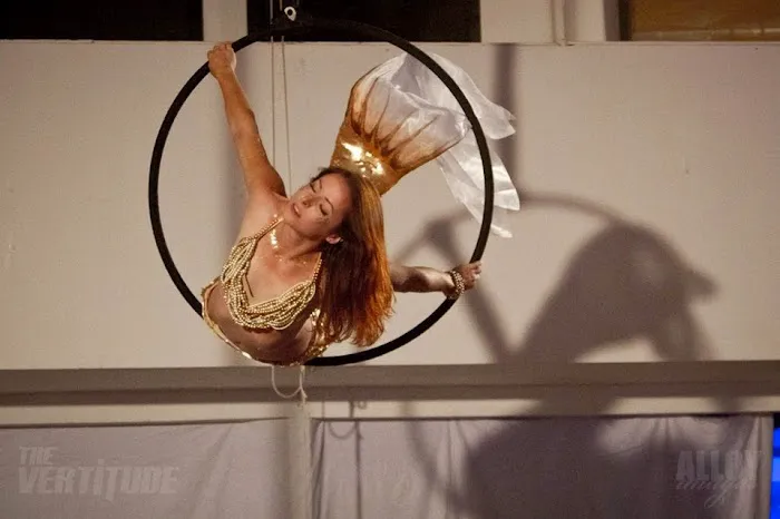 The Vertitude L.A. - Pole : Aerial : Fitness Picture 10