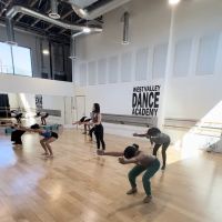 West Valley Dance Academy ico