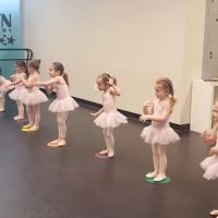 Brooklyn Dance Academy ico