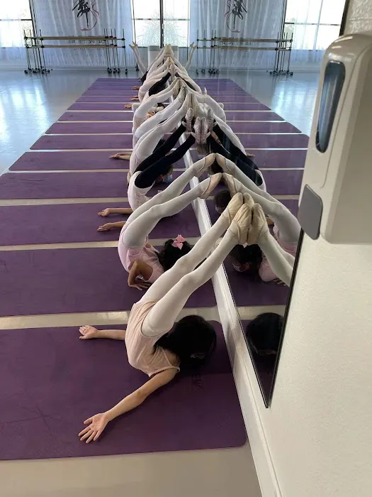 Yali Dance Studio - SYY International Culture Center Picture 1