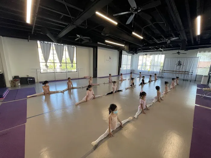 Yali Dance Studio - SYY International Culture Center Picture 5