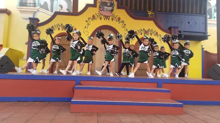 Pacific Youth Sports Picture 5