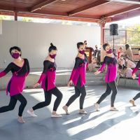 DAS Dance Studio ico