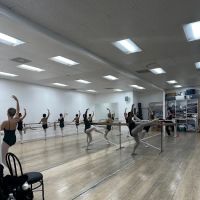 Carousel Dance Studio ico