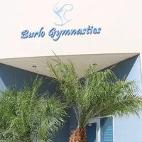 Burlo Gymnastics ico