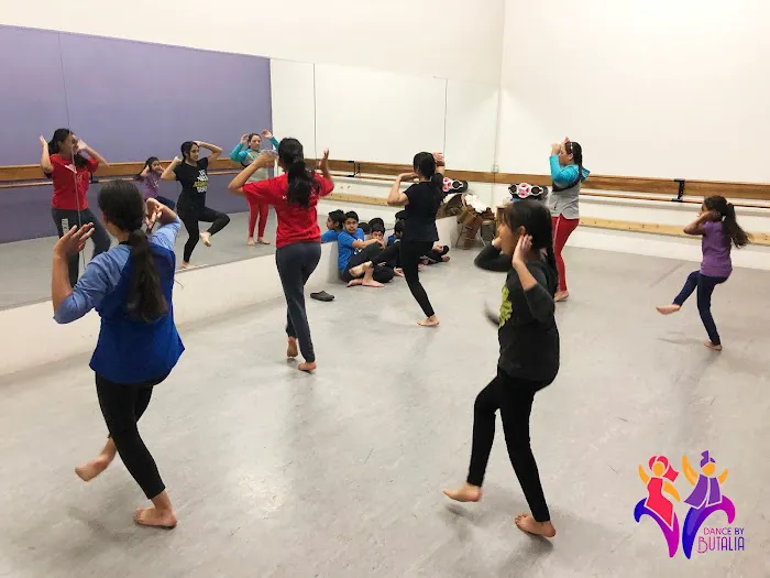 Bhangra Dance Classes Picture 4