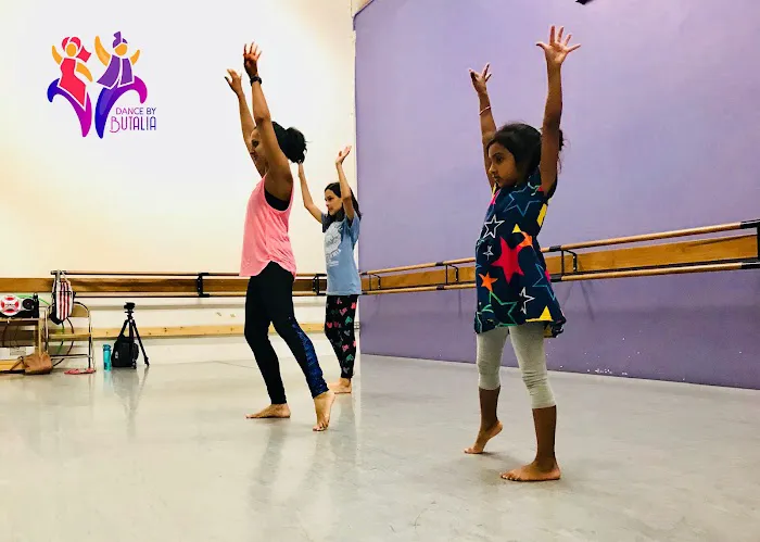 Bhangra Dance Classes Picture 8