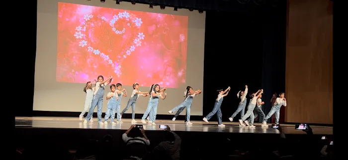 Anupama School of Dance Picture 7