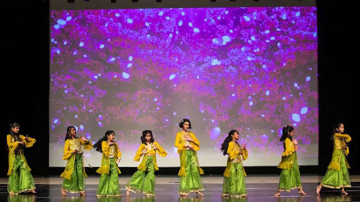 Anupama School of Dance Picture 9