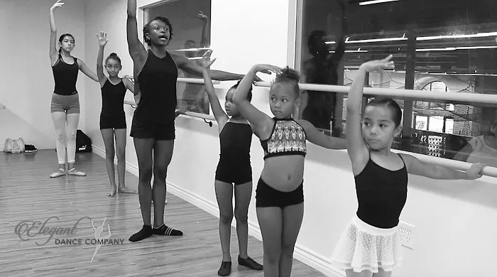Elegant Dance Company Picture 2