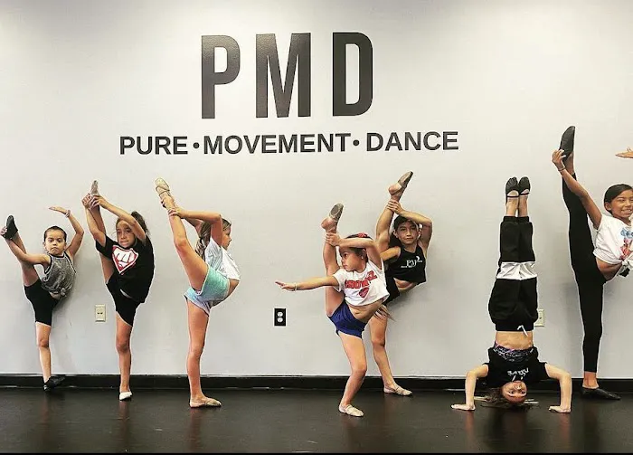 Pure Movement Dance Picture 8