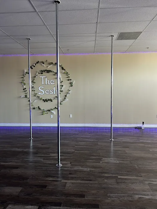 IE Pole Sesh Picture 6