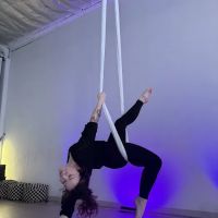 Alter Aerial ico