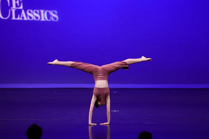 Pryntsev Classical Ballet Academy Picture 2