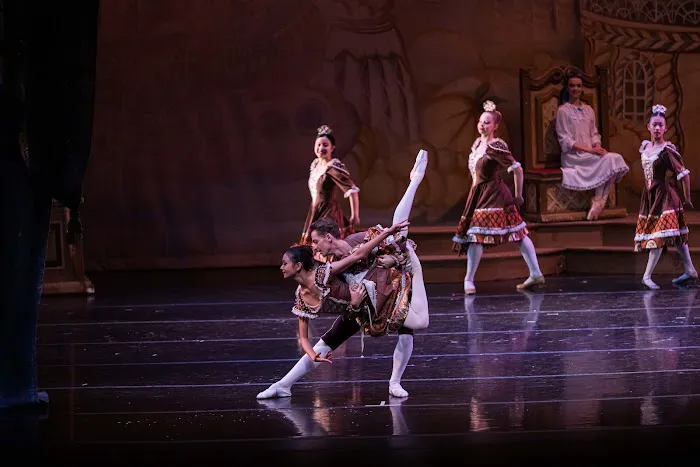 Pryntsev Classical Ballet Academy Picture 6
