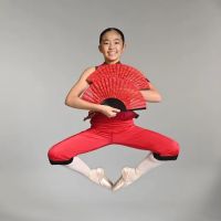 Pryntsev Classical Ballet Academy ico