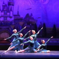 The Joy Of Dance ico