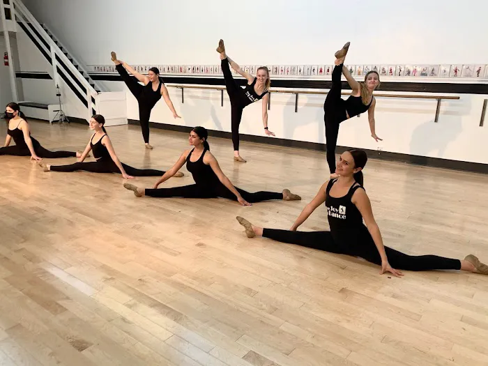 The Joy Of Dance Picture 6