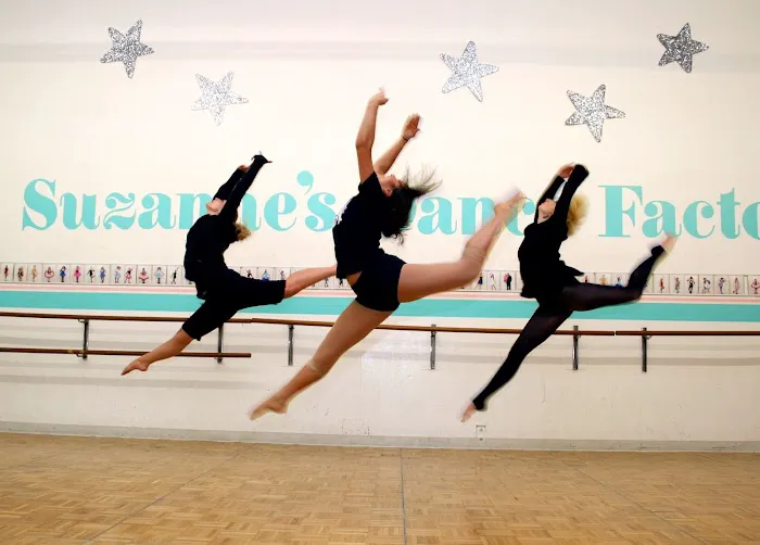 The Joy Of Dance Picture 9