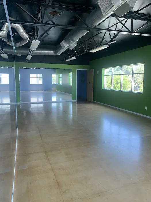 Dance Vibe Dance Studio Picture 2