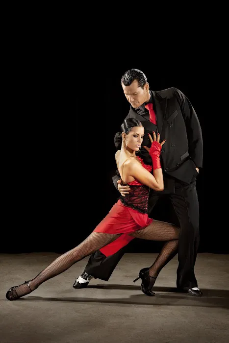 Dance Vibe Dance Studio Picture 5