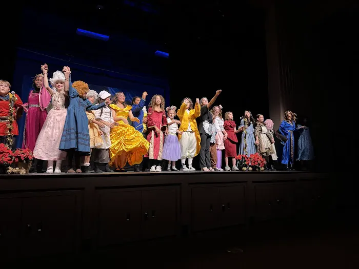 Vibe Performing Arts Picture 4