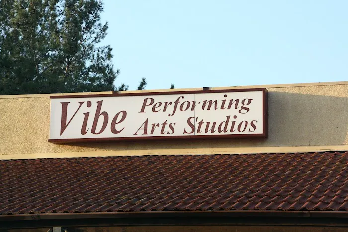 Vibe Performing Arts Picture 3