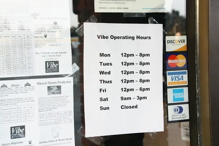 Vibe Performing Arts Picture 1