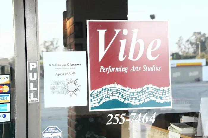 Vibe Performing Arts Picture 2
