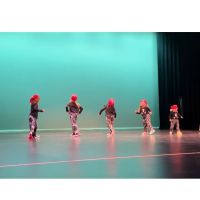 Center Stage Dance Academy ico