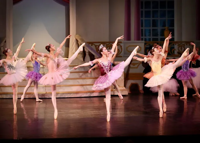California Dance Theatre Picture 2