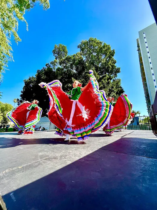 Alebrijes Ballet Folklórico Picture 4