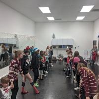 Tir Ruaidh Irish Dance Company ico