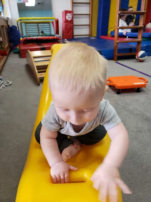 My Gym Thousand Oaks | Gymnastics For Kids Picture 4