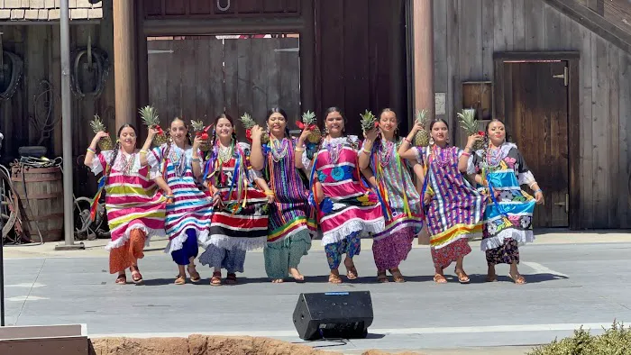 Folklorico Dance Studio Bailes de Mi Tierra Picture 9