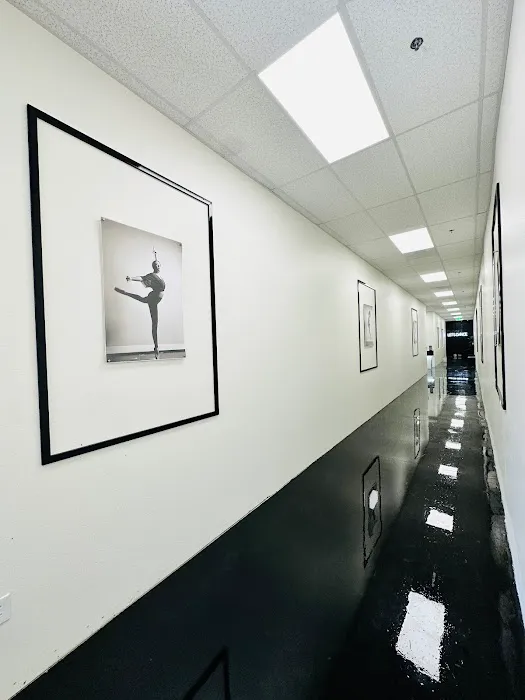 The Dancers' Studio Picture 9