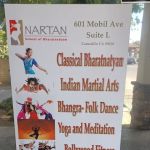 Nartan School of Dance( Bollywood, Indian Folk Dances and Bharatnatyam)