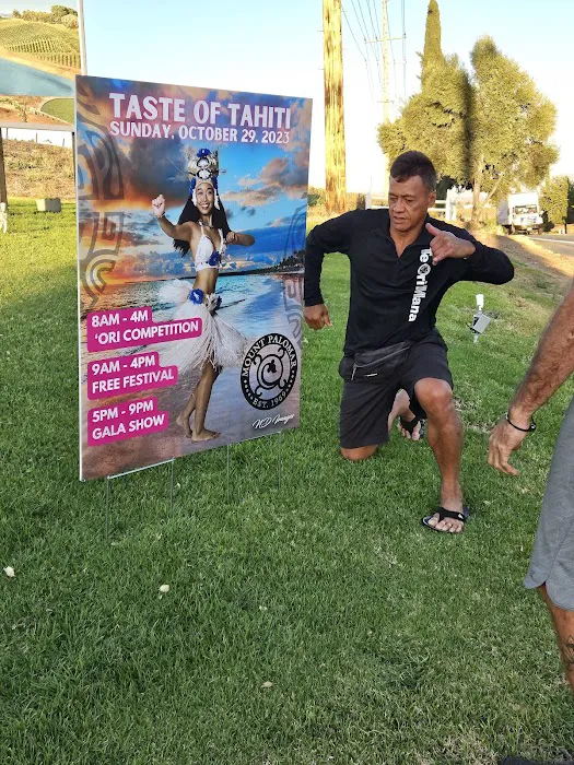 Te Ori Mana Polynesian Dance Studio - Hawaiian (Hula) and Tahiti (Ori Tahiti) Picture 1
