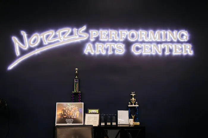 N-PAC Norris Performing Arts Center Picture 1