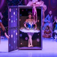 The Ballet Studio ico