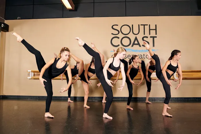 South Coast Conservatory Picture 10