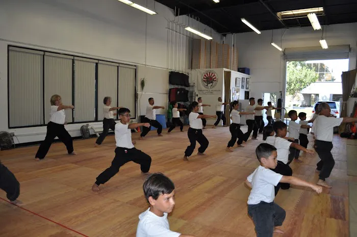 Camarillo Kung Fu and Lion Dance Association Picture 4