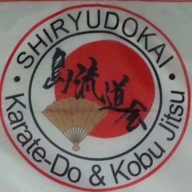 Time 2 Shine Karate Do and Kubojitsu Picture 2